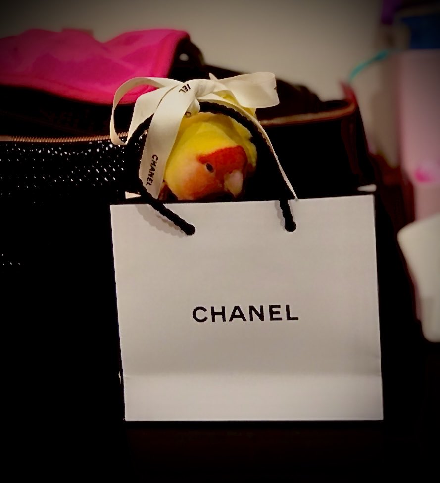 ICiutiis's tweet photo. Is Chanel chicks best friend? https://t.co/3FO4d3ElOm