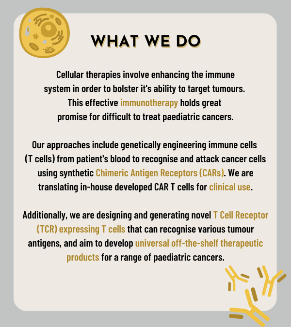 #ChildhoodCancerAwarenessMonth Meet the ACT team! A/Prof Geoff McCowage, <a href="/KaviGowrishank1/">Kavi Gowrishankar</a>, <a href="/_sayaligore/">Sayali</a> and <a href="/AkshayaTRamana1/">Akshaya T Ramanathan</a> are working on novel #CellTherapies for #PaediatricCancer