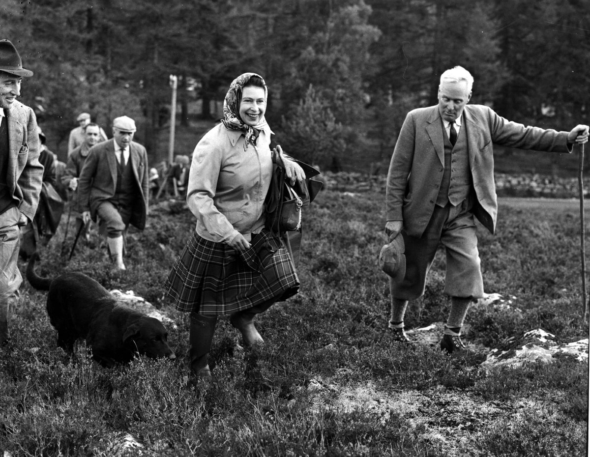 netzero_tc's tweet photo. We are deeply saddened by the passing of Her Majesty the Queen, an inspiring, extraordinary leader. 

For over 70 years Her Majesty led Britain and the Commonwealth, with a devotion to public service like no other.

We offer our sincere condolences to the Royal Family. https://t.co/7FTfFXQQwh