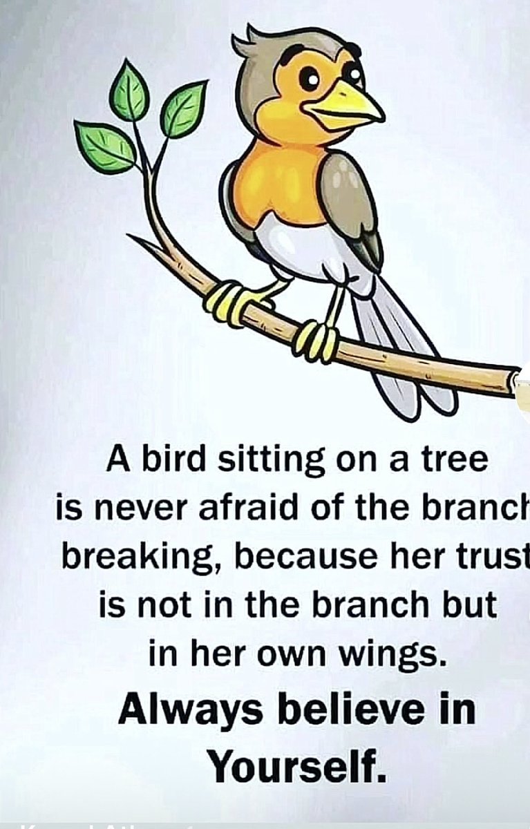 AliMoammad2's tweet image. 👌