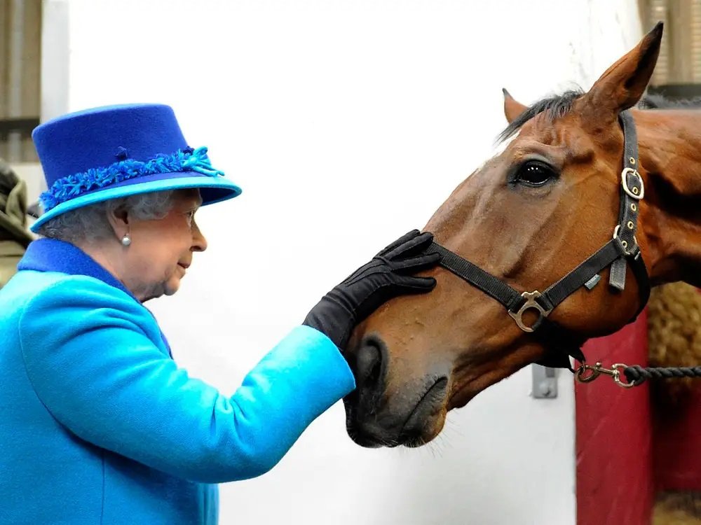 We are deeply saddened by the passing of Her Majesty The Queen and our thoughts very much remain with the Royal Family.

Following consultation with the Broadlands Estate the show will go ahead on Saturday. Visit romseyshow.co.uk for a full statement.