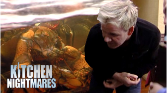 Gordon Ramsay Boxing a LETHAL Fish Tank Waitress https://t.co/UqhjTsUCPr