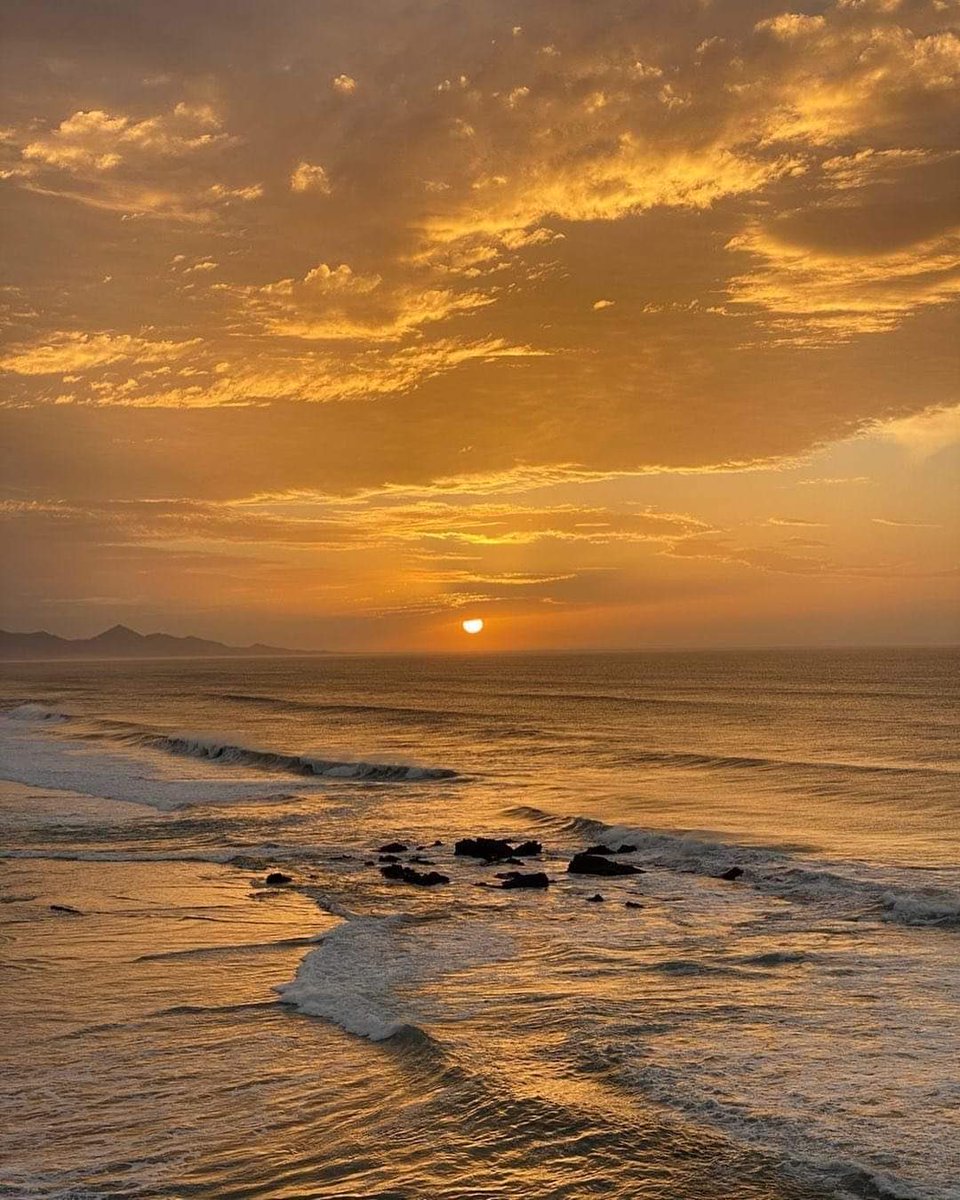 piitures's tweet photo. Mood https://t.co/XS3uU3MSYG