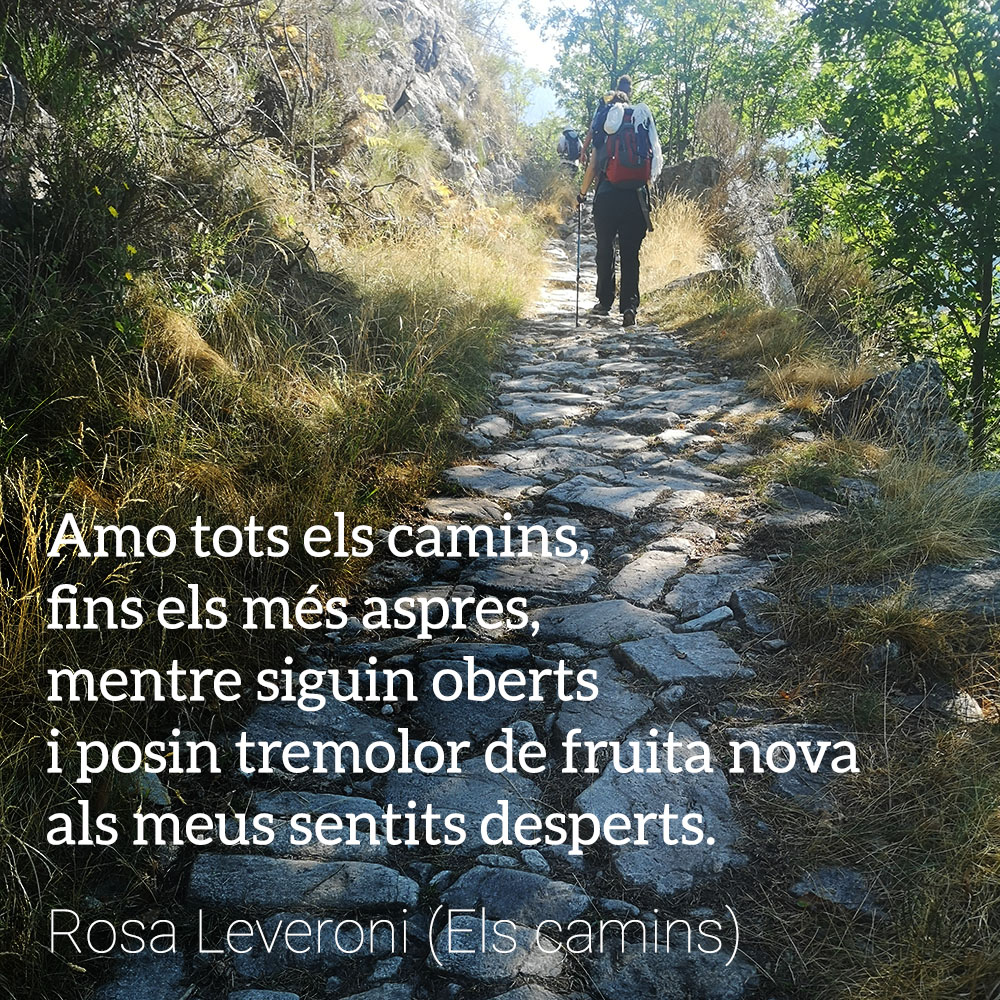 MagneticMarke's tweet photo. Camins de bosc amb un bon tou de fullaraca, decorats amb líquens i molses, pistes de terra amb marges d’arrels a l'aire i bolets de soca, camins empedrats plens d’història… quins us inspiren més?
A el https://t.co/lVd147a4TD en trobareu de totes menes.  #elcami #païsoscatalans https://t.co/a9iXI8dMGx