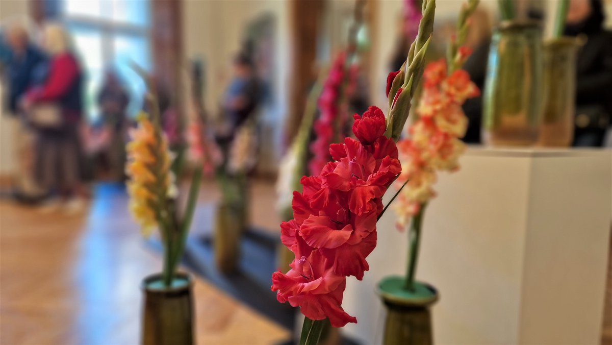 Talsu_muzejs's tweet image. Gladiolu parāde 2022 ir atklāta! 💐
Izstāde skatāma tikai 3 dienas, tādēļ nenokavē! Gaidīsim muzejā! 
#talsi #novadamuzejs #visittalsi #muzejs #gladiolas