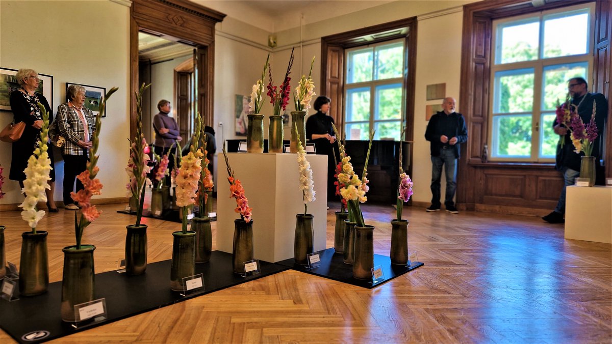 Talsu_muzejs's tweet image. Gladiolu parāde 2022 ir atklāta! 💐
Izstāde skatāma tikai 3 dienas, tādēļ nenokavē! Gaidīsim muzejā! 
#talsi #novadamuzejs #visittalsi #muzejs #gladiolas