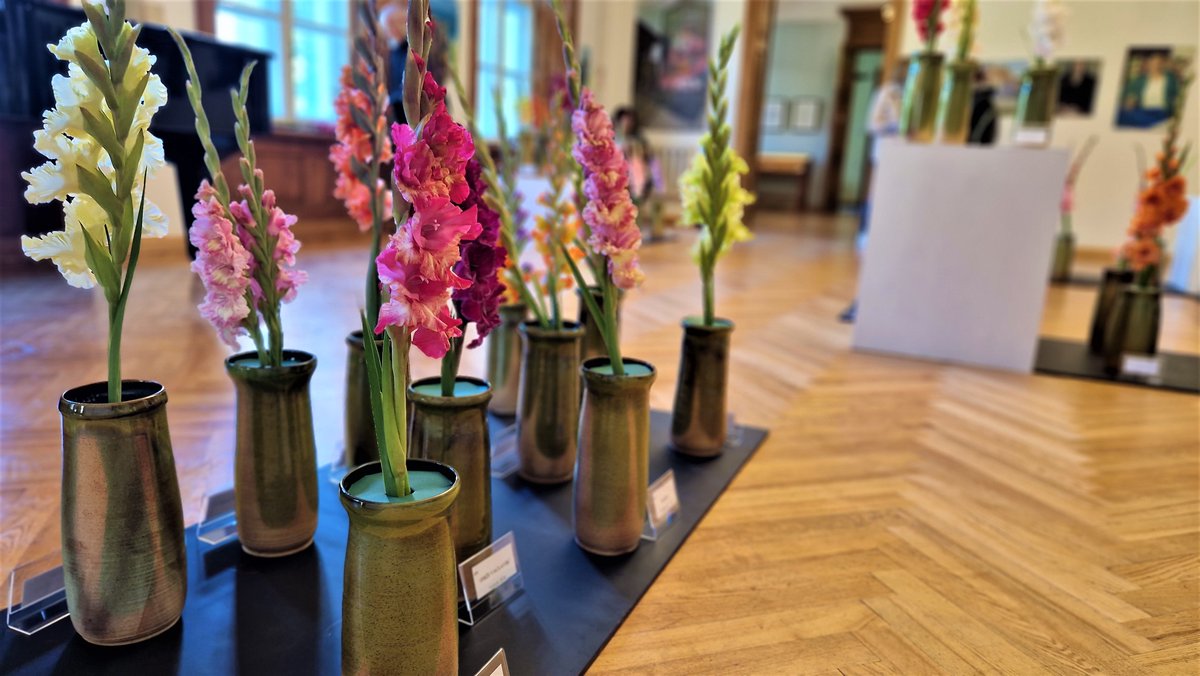 Talsu_muzejs's tweet image. Gladiolu parāde 2022 ir atklāta! 💐
Izstāde skatāma tikai 3 dienas, tādēļ nenokavē! Gaidīsim muzejā! 
#talsi #novadamuzejs #visittalsi #muzejs #gladiolas