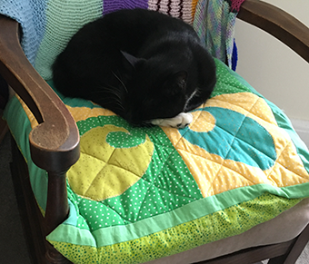 library_jane's tweet photo. @ByWaterSolution @PTFSEurope @kohails @LeedsMusicDrama Here's a little more. She's clearly so comfortable, you can't expect me to move her... https://t.co/ebaQP0nalg