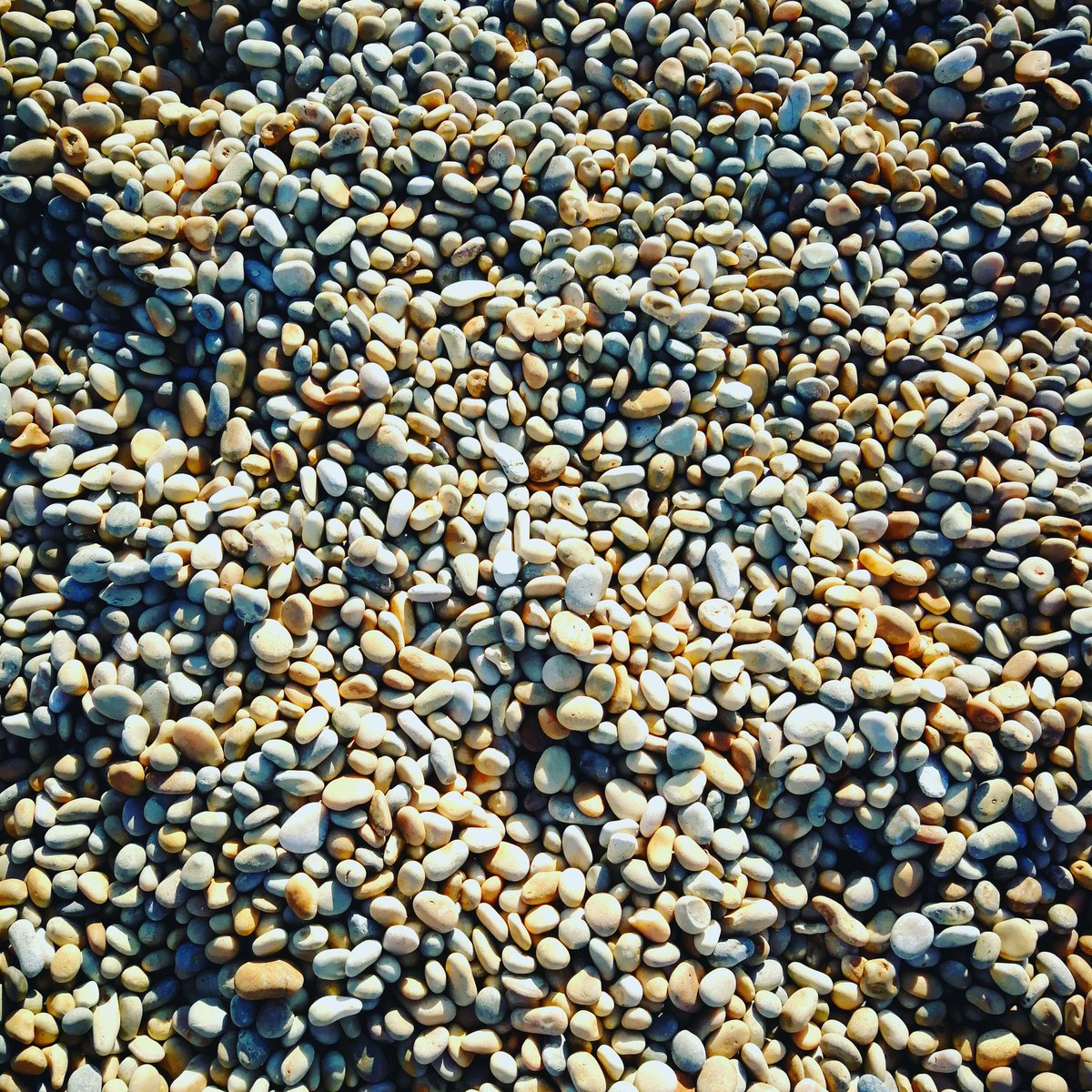 Did you know that Chesil beach is 18 miles long? Did you also know that the pebbles on Portlands end are larger then the pebbles down at Abbotsburys end?
#dorset #jurassiccoast #weymouth #portland #photooftheday #potd #facts