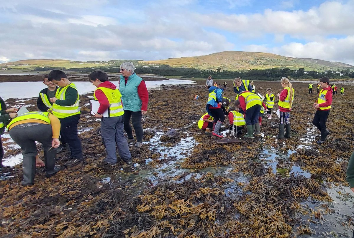 AilsaMcL's tweet photo. Great day on the beach surveying with #Strathgarve #Strathconon and #Marybank primary schools who are all keen to be involved with @seawilding native oyster restoration in Loch Broom.
Lots of very wet feet....sorry parents. 🌊👠💙 https://t.co/ytx6Urruwk