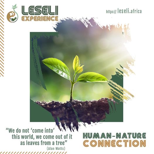One Day Event 23 September 2022. Limited seats!! Book your spot today: leseli.africa/event/
#LeseliExperience Human nature connection: Wilderness Talks, Experiences, &amp; Retreats. 
Visit: leseli.africa