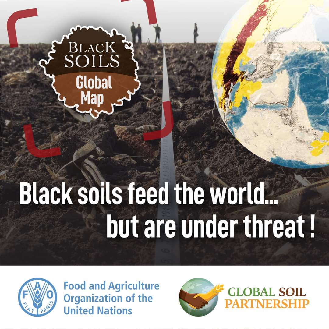 RonaldVargasJob's tweet photo. #BlackSoils not only sustain the people settled on them, but they also feed the rest of the 🌏🌍🌎through agricultural exports! #SoilHealth

📌 Discover more in the Global Map of Black Soils ➡ https://t.co/deZVzvlHMD 
🎞️ Watch the video on black soils ➡ https://t.co/FOm0sV41Tp https://t.co/xJq5cxdkSu