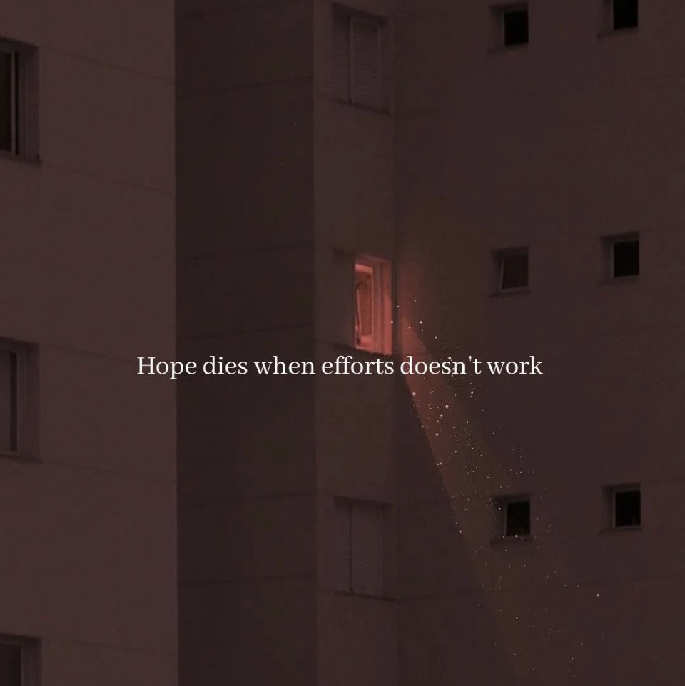 Helly John Abraham ♥ (@hellyshahja) on Twitter photo 