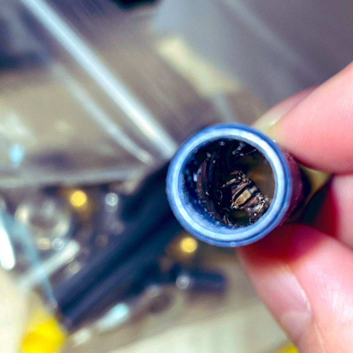 samimo0000's tweet image. スパイダーBT 皆さんもどうぞ