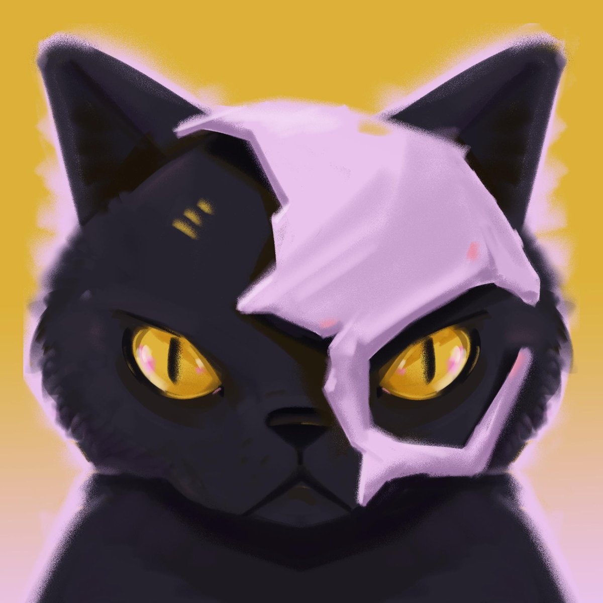 👑 Rachel 👑 tweet media