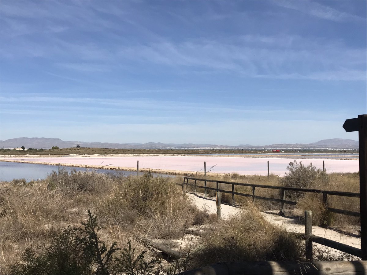 Great day visiting restored wetlands in two of the natural parks near Alicante as part of #SERE2022 #GenerationRestoration