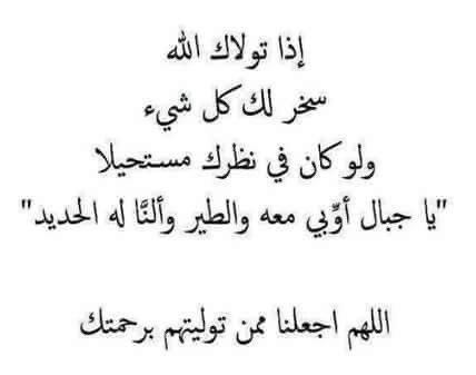 hodaelsayed71's tweet image. 