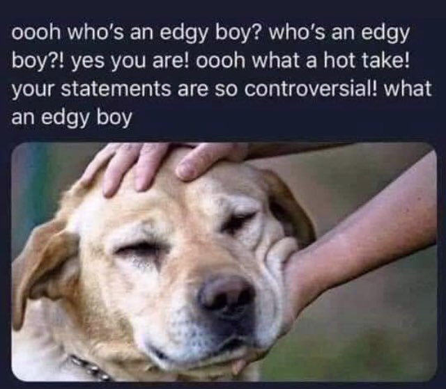 kody_manuel's tweet photo. @bisexualhatchln https://t.co/WtLOwfqfdR