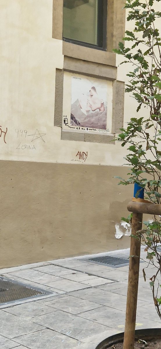 Ahir per la nit aquesta persona ens va guixar la persiana i la porta de casa, al Gòtic. Desprès de fer foto em va llençar el telèfon al terra. I se'n reia del que havia fet. #graffiti <a href="/GUBBarcelona/">Guàrdia Urbana Barcelona</a> <a href="/mossos/">Mossos</a> <a href="/periketetu/">Periquete</a> <a href="/31416CCF/">Cristina Cort#Silenci, el soroll mata.</a> <a href="/XVeinal/">XARXA VEÏNAL GÒTIC</a> <a href="/AVVBarriGotic/">Associació de Veïnes i Veïns del barri Gòtic</a>