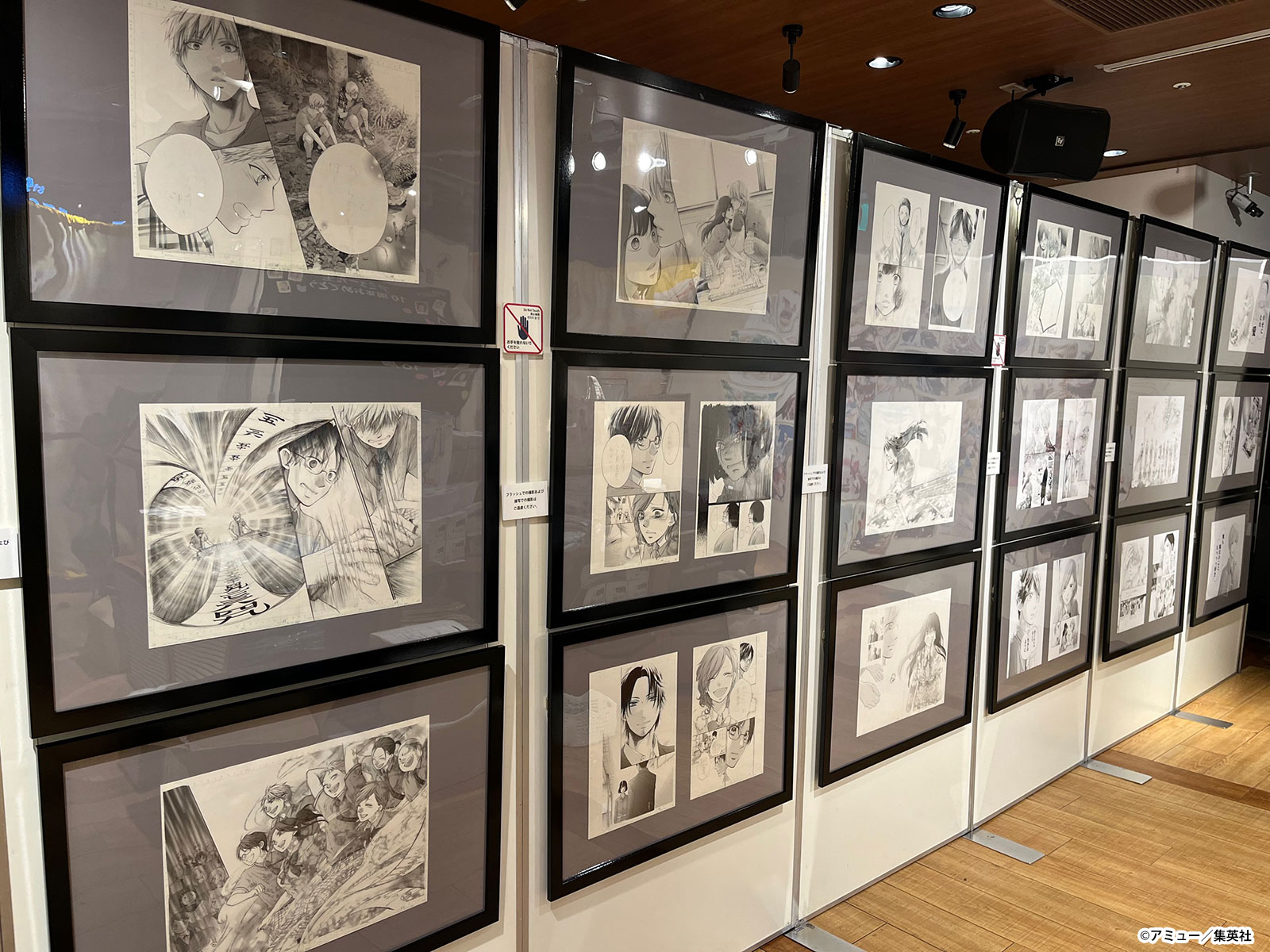 この音とまれ！連載10周年記念 原画展-和あい-」開催決定