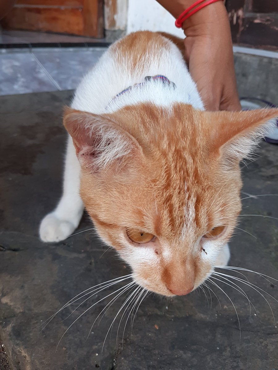 femaus69's tweet photo. Nongkrong sore hari... https://t.co/CktdNsmADt