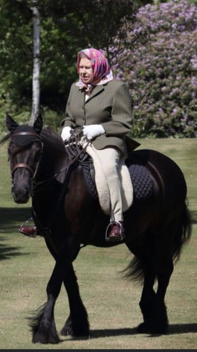 Sam Hooper tweet media