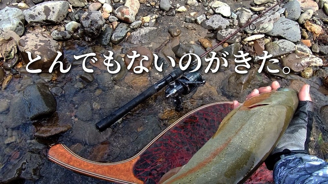 kei_channel_'s tweet photo. とんでもないヤツがきた。

https://t.co/I1Jw3A0KYC https://t.co/GxGL6lIjqY