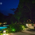 ツイートに含まれる画像