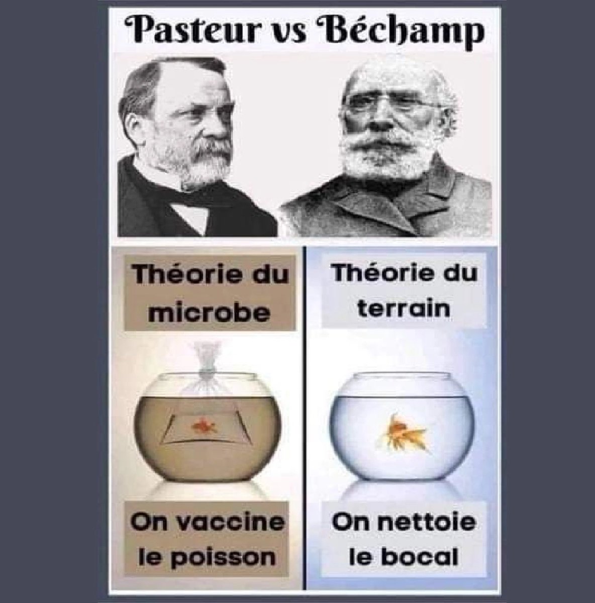 Thaghost33's tweet photo. Je la remet , ça faisait longtemps 😉
#Pasteur VS #Bechamp https://t.co/kFlza5Kmcg