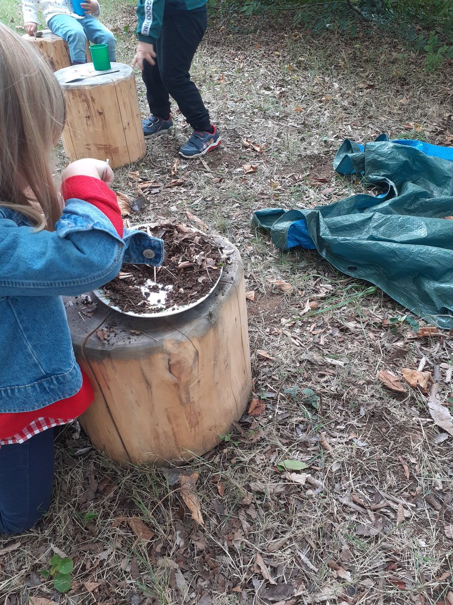 PaulFortPSMS's tweet image. Allez on se lance ! Vendredi matin c&apos;est école dehors ! On profite de l&apos;espace vert derrière l&apos;école commun avec la piscine de la blaiserie ! Première découverte ce matin , au programme cuisine nature et récolte !
