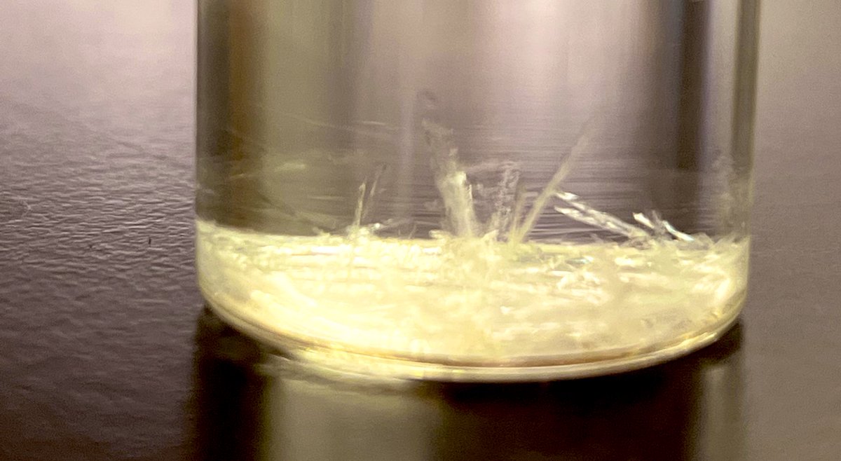 Petch Muang-Non (@petch_mn) on Twitter photo Plate or needles or both? Plate or needles or both?