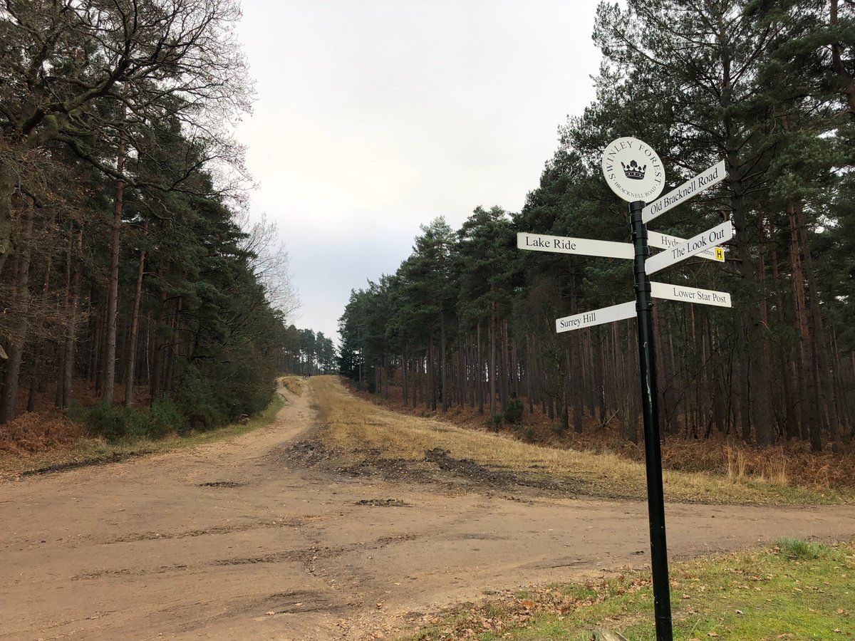 Top trips of 2022: Swinley Forest Pudding Hill and Surrey Hill Circular Walk. 8.2 km starting from The Look Out Discovery Centre

richardgower.com/blog/swinleypu…

#getoutside #trek