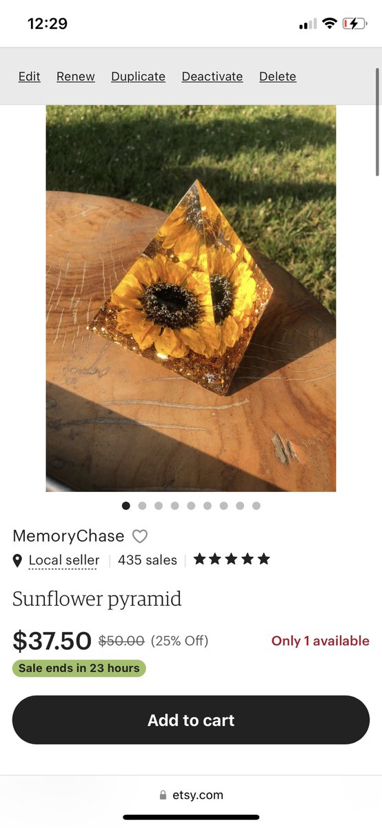 Memory Chase tweet media