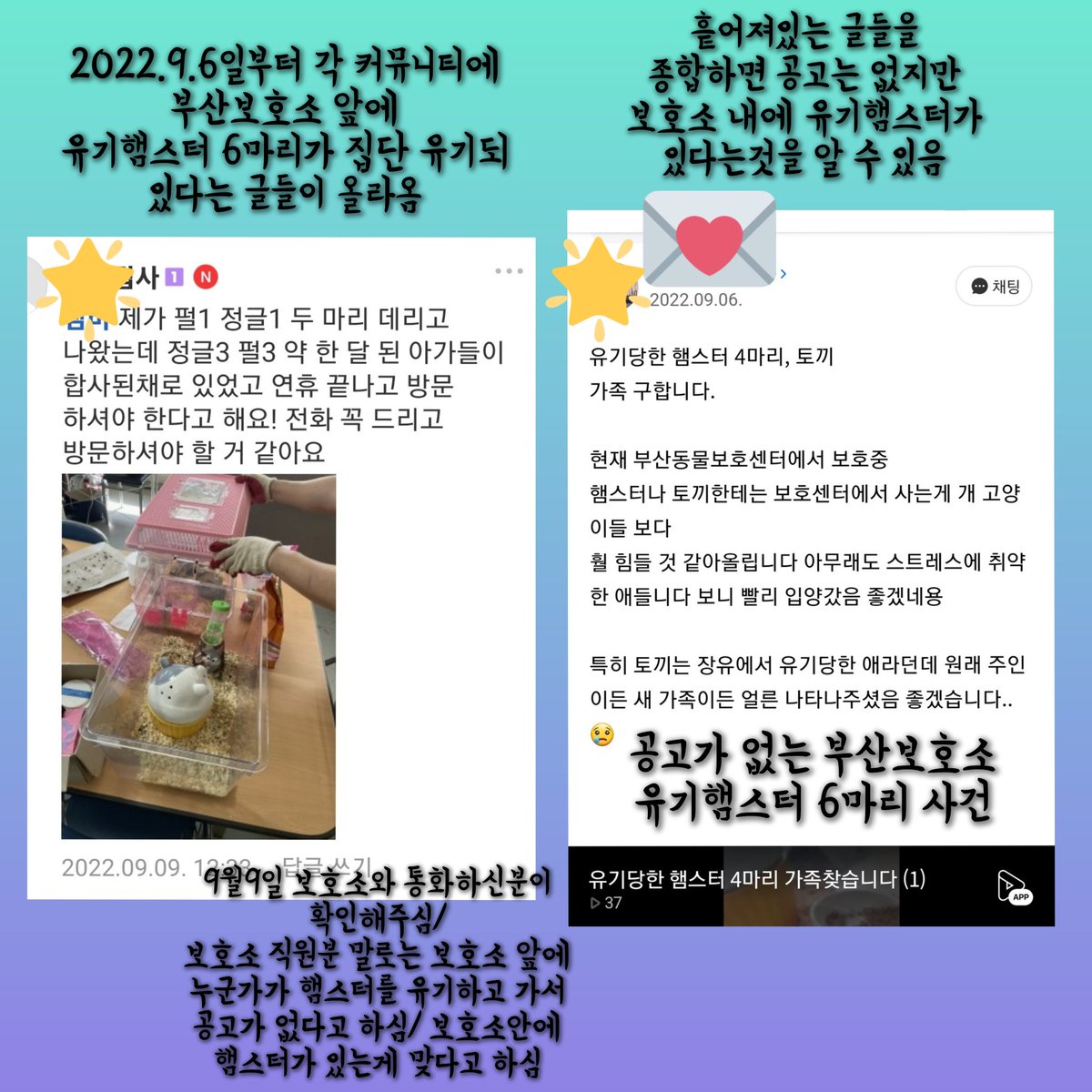 yihui781's tweet photo. 2022.9월 6일 부산보호소 앞에 햄스터 6마리가 집단 유기되었다는 제보글이 올라옴/ 유기된지 1주일이 지났고 합사상태/ 2마리는 구조되었고 중가리안 회색 2, 흰색 2마리가 남아있음 흰색은 서로 싸워서 구조가 시급함/
강서구에 있는 보호소이며 불암역에서 택시가능/ 공고가 없고 바로 입양가능 https://t.co/0FwdQY5O5u