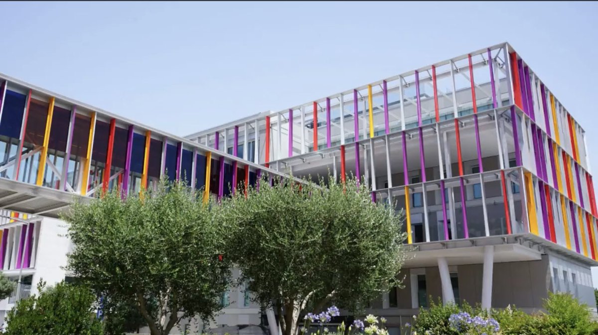 Mireia Sans tweet media