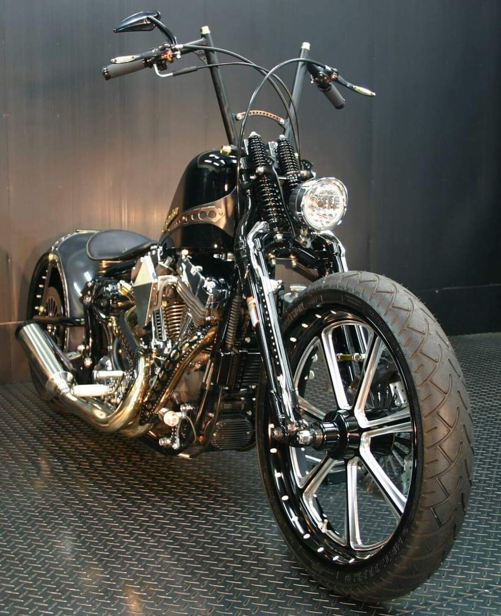 La lujuria metálica 

#harleydavidson 

#Barcelona