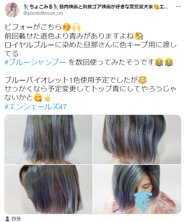 アウトレットエンシェールズ ブルーバイオレット カラーリング剤