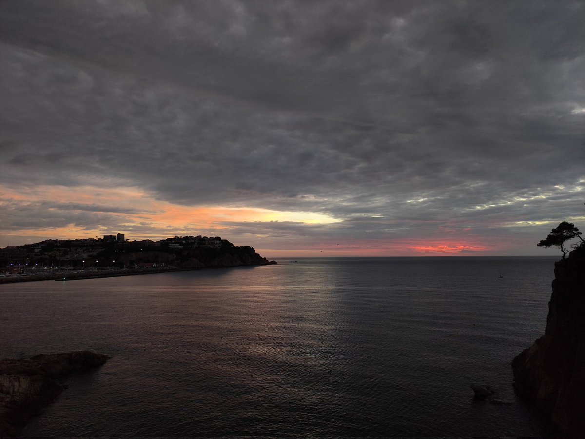 MarColuccia's tweet photo. Leaving #EMBObacnet22 with a beautiful sunrise! It has been an amazing week of science! Looking forward to the next edition 🦠
@MartinaPasqua90 @BacNet22 https://t.co/alYPmiCdQi