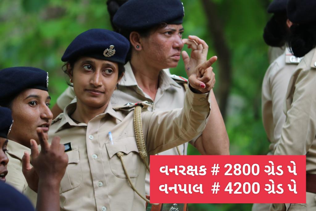 #2800gredpaybitguard
#4200gredpayForestar
🙏વન છે તો જન જીવન છે 🙏
<a href="/PMOIndia/">PMO India</a>
<a href="/draupadimurmum/">Droupadi Murmu </a>
<a href="/ADevvrat/">Acharya Devvrat</a>
<a href="/Bhupendrapbjp/">Bhupendra Patel</a>
<a href="/sanghaviharsh/">Harsh Sanghavi</a>
<a href="/Gopal_Italia/">Gopal Italia</a>
<a href="/AamAadmiParty/">AAP</a>
<a href="/ArvindKejriwal/">Arvind Kejriwal</a>
<a href="/amitshahsurat/">Amit Shah : Surat #AMITCSHAH</a>
<a href="/aajtak/">AajTak</a>
<a href="/ETVBharatGJ/">ETVBharat Gujarat</a>
<a href="/abpasmitatv/">ABP Asmita</a>
<a href="/tv9gujarati/">Tv9 Gujarati</a> 
<a href="/sandeshnews/">Sandesh</a> 
<a href="/Vivekdoza/">Vivekk Oza</a>