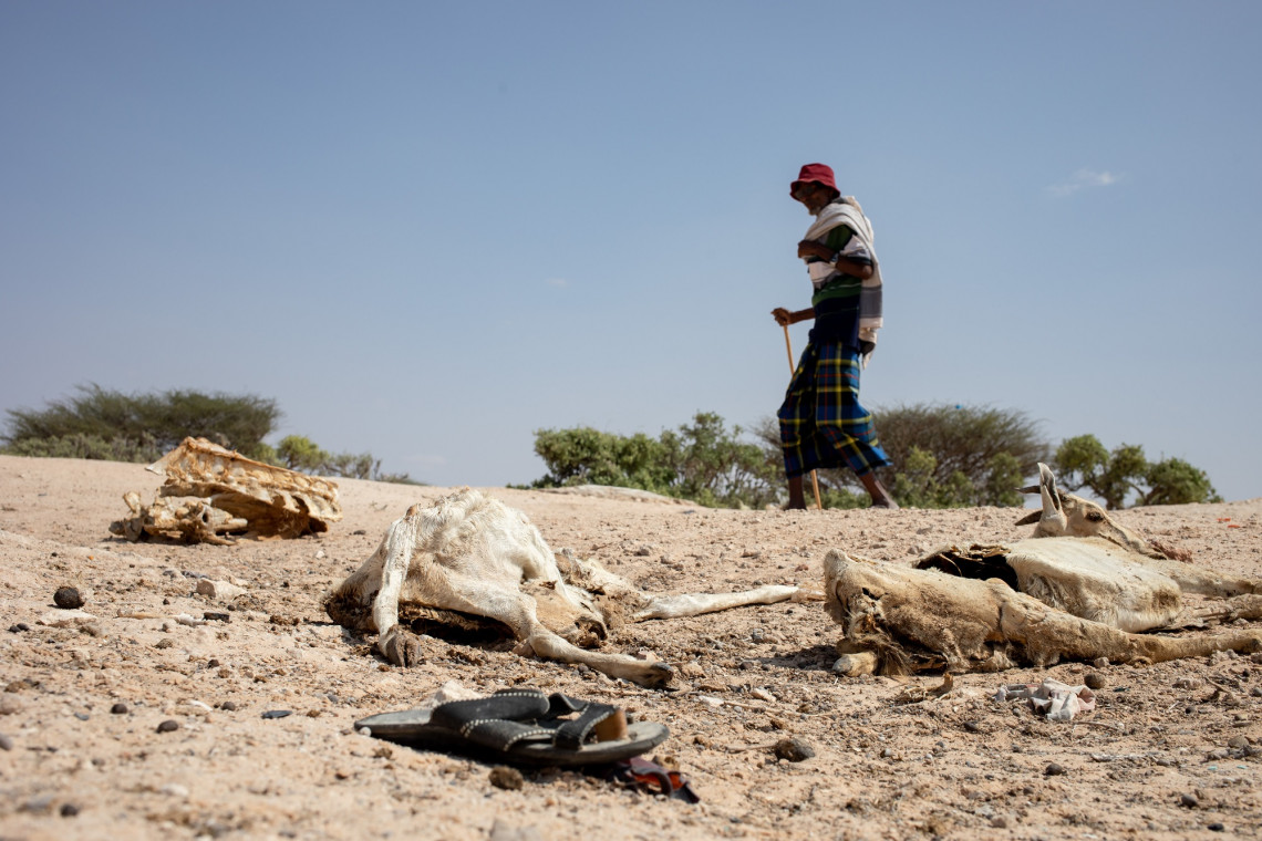 Somalia is busy with politics and people are suffering from drought😪😪😪