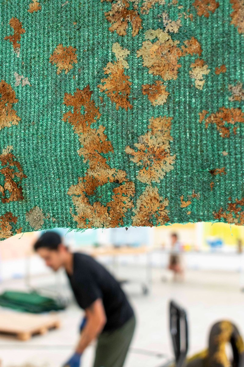 🛠 Le @fracgrandlarg est fermé jusqu'au 16/09.
Montage en cours...
RDV le sam. 17/09 pour découvrir l'expo de #GuilhemRoubichou. Il a réuni des assemblages fragiles qui soulignent le geste artistique en rappelant les processus anthropiques qui transforment notre environnement.