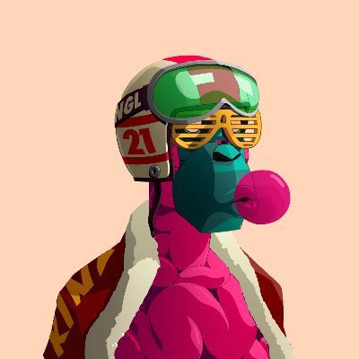 SolDoll3's tweet photo. @Cryptoking Look no further @Primatesnft https://t.co/IYWcfrXxCJ