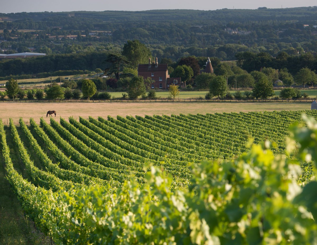 #DidYouKnow our Kit’s Coty vineyard is named after the monuments to the first settlers of Britain’s earliest farming society who recognised the fertility of the land in the third millennium BC. 

Discover the multi award-winning collection: bit.ly/KitsCoty

#ChapelDown