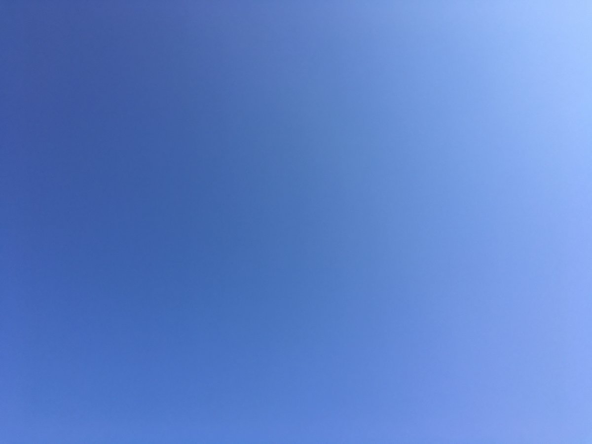 m19510804's tweet photo. 本日もピーカンなり😊　＃今空　#青空 https://t.co/fqCZjxTWlm