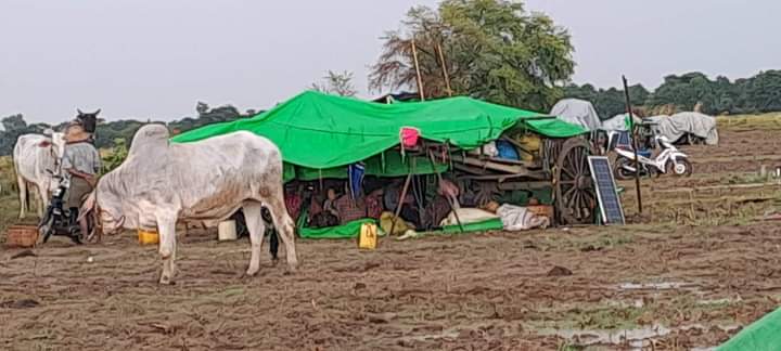 miN13700's tweet photo. Photo News (2/5)

Locals in Yaylalkyun area of Magway's Yesagyo tsp, who have been fleeing junta's offensive, raid, arson &amp; brutalities since Sep 6, &amp; are facing difficulties due to continuous heavy rains which started on Sep 8 afternoon.

#2022Sept9Coup
#WhatsHappeninglnMyanmar https://t.co/2X9vrGcU0o