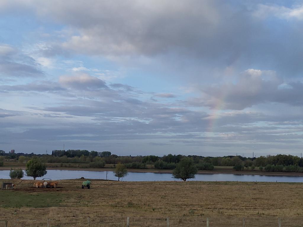 Das kann ich euch nicht vorenthalten. Heute komme ich tatsächlich zu spät zur Arbeit, bei den tollen Bilder, muss man anhalten.  #Rheindamm #Voerde-#Mehrum.
#Steag #Niederrhein #Radfahren #MdRzA.