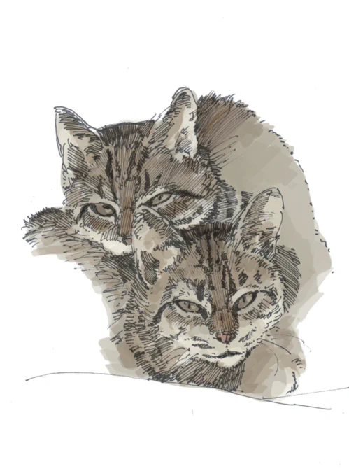 絵 