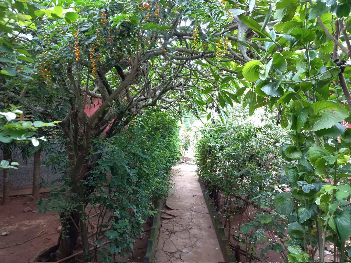 Hodl4Sure's tweet photo. Love to travel and my work takes me on journeys across the country. Sunyani has been a lovely experience. Such a relaxing atmosphere the moment i stepped foot here. Much affordable living and although my room is far from 1 Star rating, its been well worth the trip. #Ghana #Travel https://t.co/R9BRkSJSdX