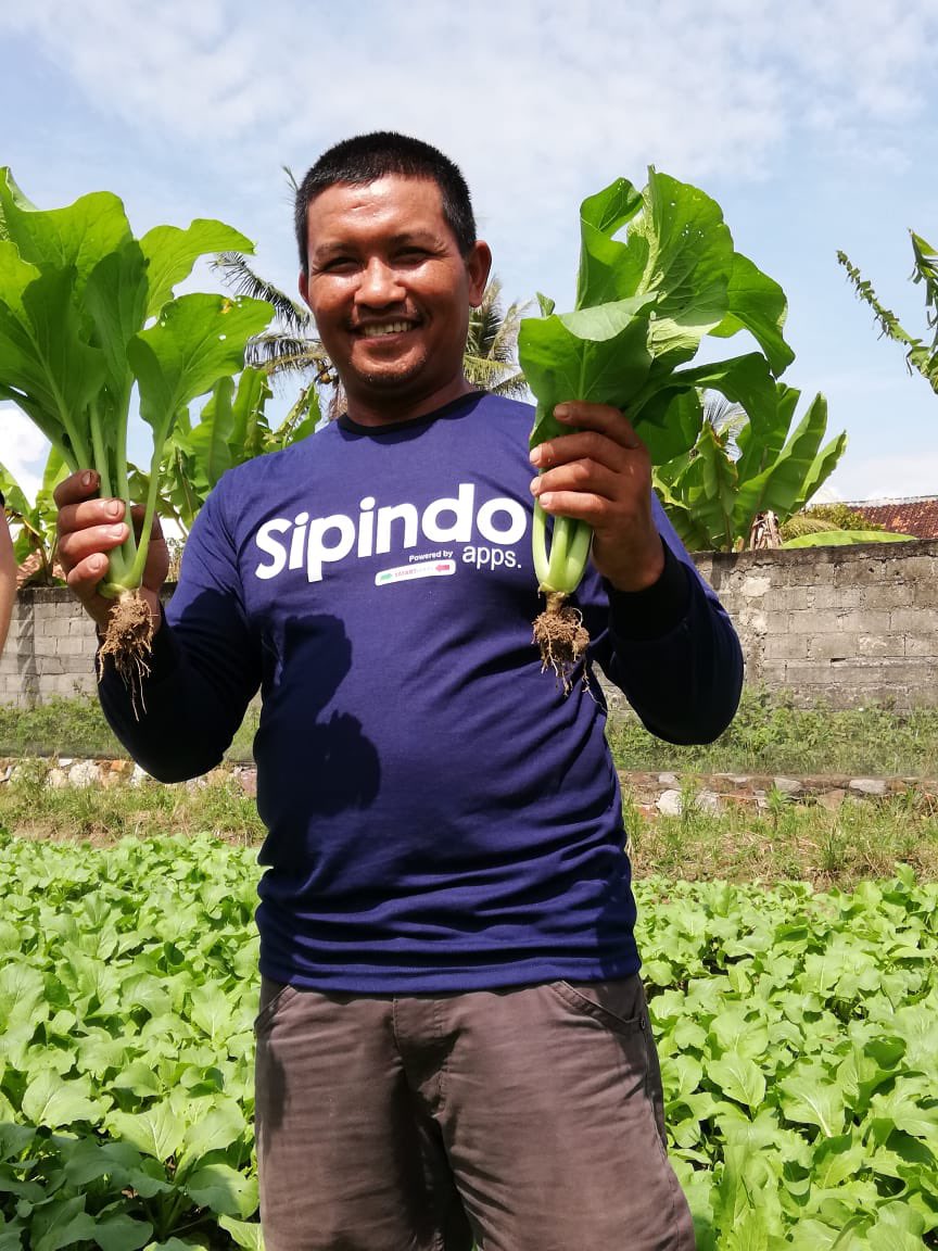 Ruud Grim tweet media