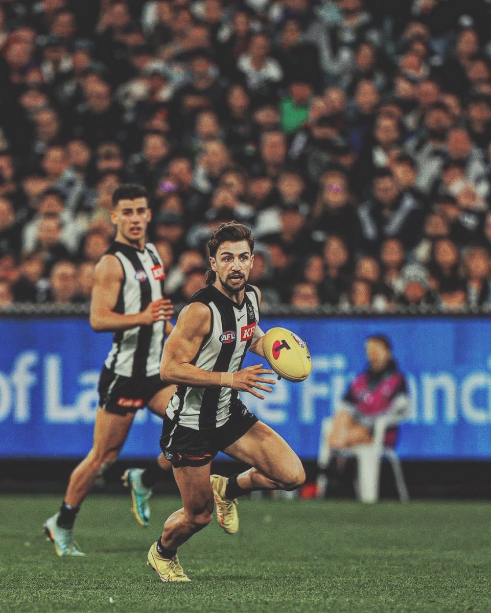 PiesNation tweet media